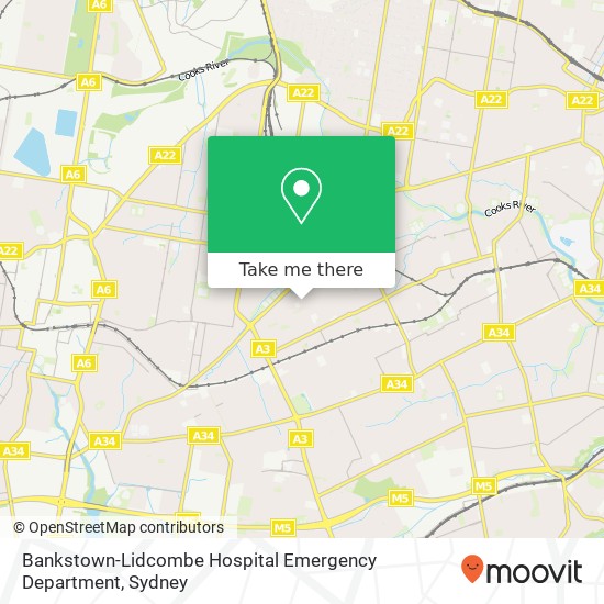 Bankstown-Lidcombe Hospital Emergency Department map