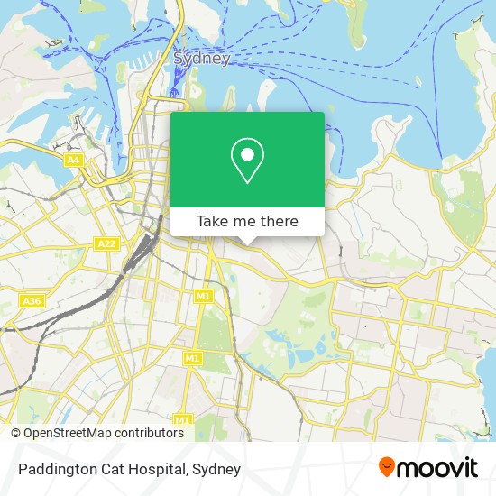 Mapa Paddington Cat Hospital