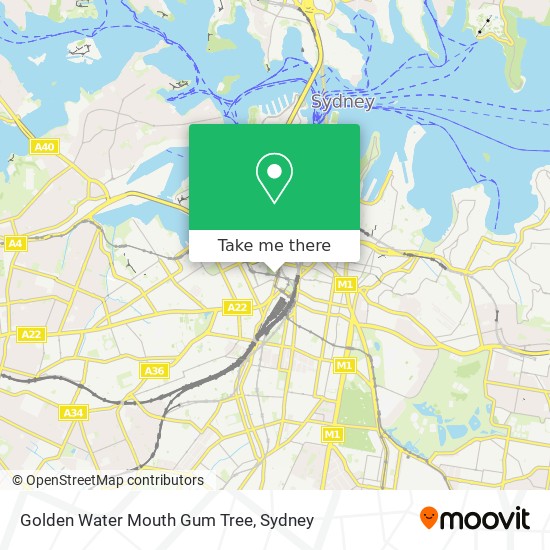 Golden Water Mouth Gum Tree map