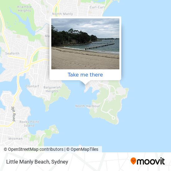 Mapa Little Manly Beach