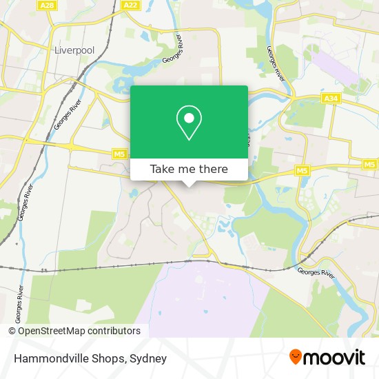Hammondville Shops map