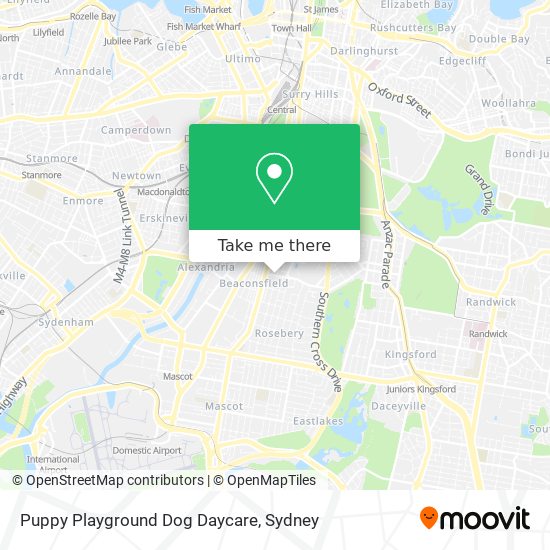 Mapa Puppy Playground Dog Daycare