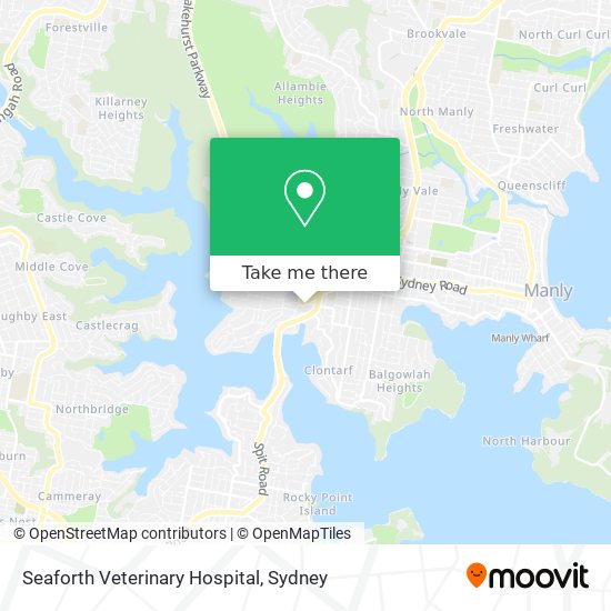 Mapa Seaforth Veterinary Hospital