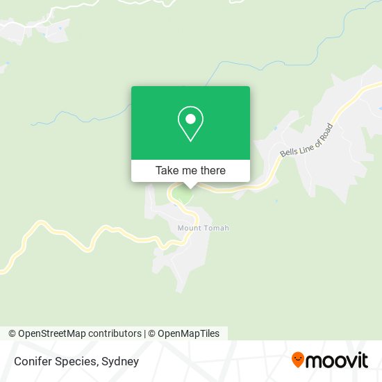 Conifer Species map