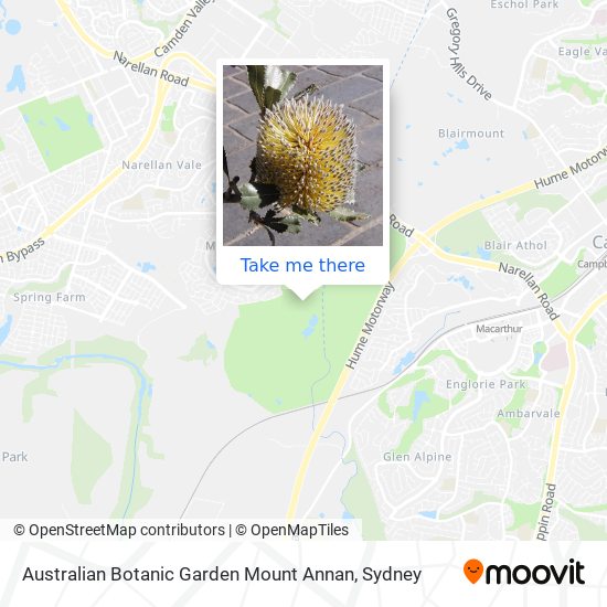 Australian Botanic Garden Mount Annan map