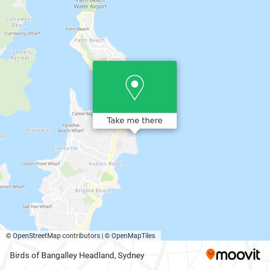 Birds of Bangalley Headland map