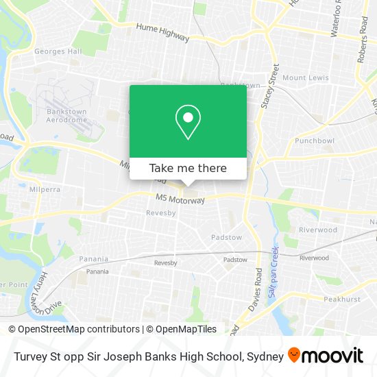 Turvey St opp Sir Joseph Banks High School map