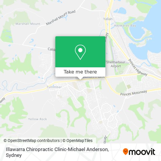 Illawarra Chiropractic Clinic-Michael Anderson map