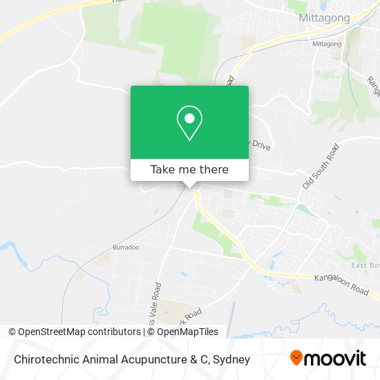 Chirotechnic Animal Acupuncture & C map