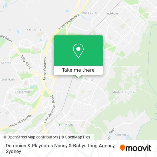 Mapa Dummies & Playdates Nanny & Babysitting Agency