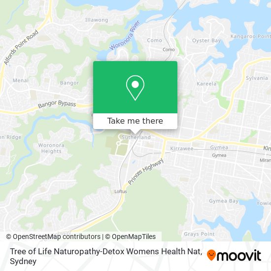 Tree of Life Naturopathy-Detox Womens Health Nat map