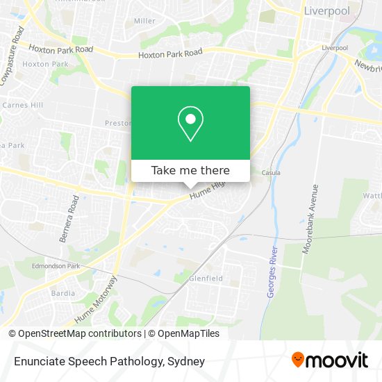 Enunciate Speech Pathology map