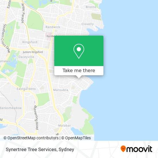 Synertree Tree Services map