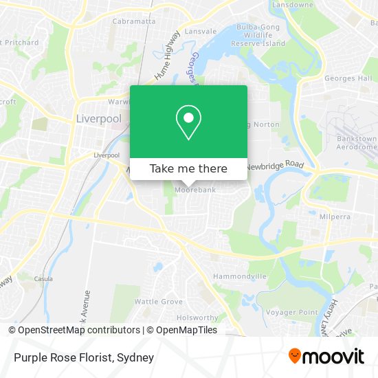 Purple Rose Florist map