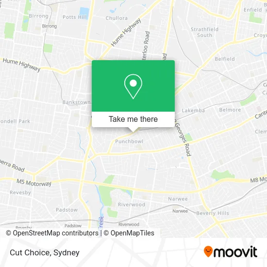 Cut Choice map