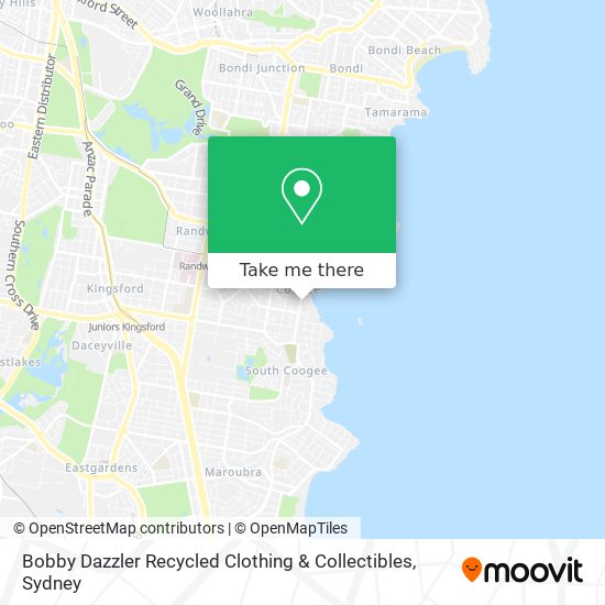 Mapa Bobby Dazzler Recycled Clothing & Collectibles