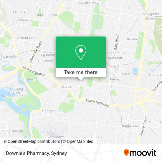 Downie's Pharmacy map