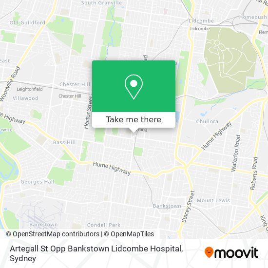 Artegall St Opp Bankstown Lidcombe Hospital map