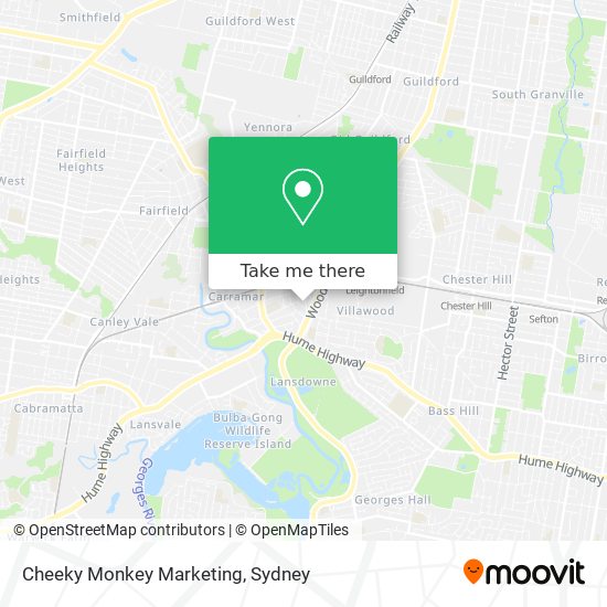 Cheeky Monkey Marketing map