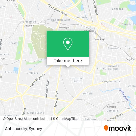 Mapa Ant Laundry