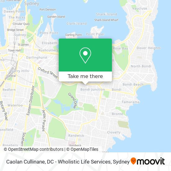 Caolan Cullinane, DC - Wholistic Life Services map