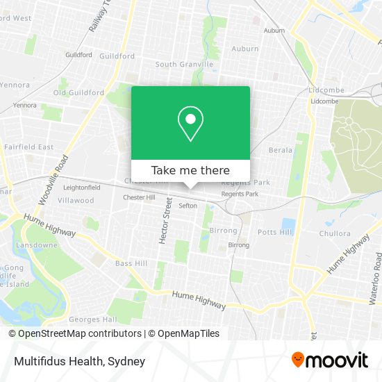 Multifidus Health map