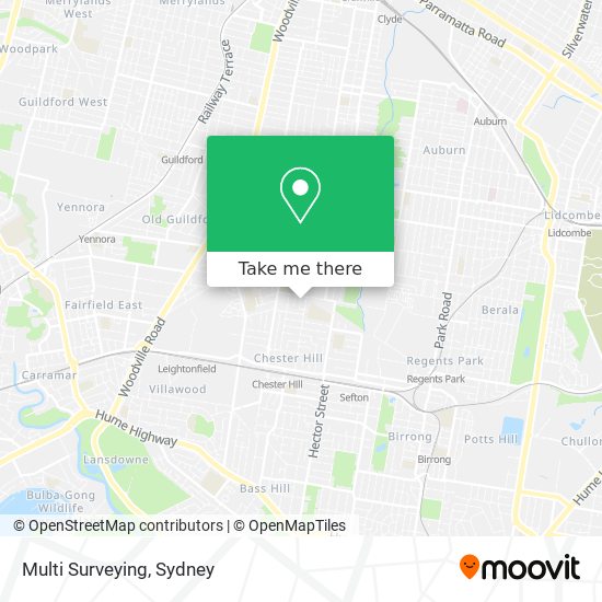 Multi Surveying map