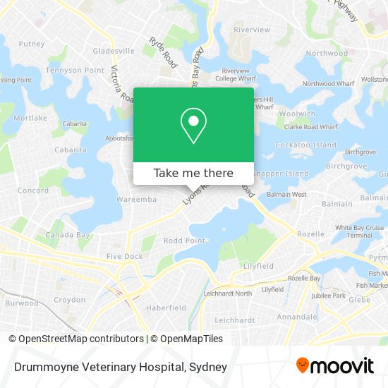 Drummoyne Veterinary Hospital map