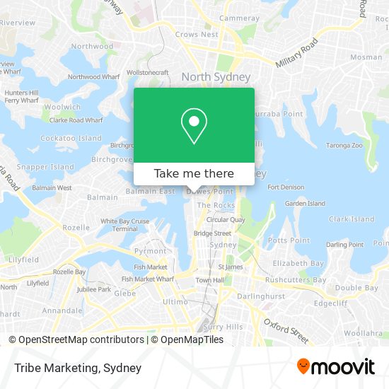 Mapa Tribe Marketing
