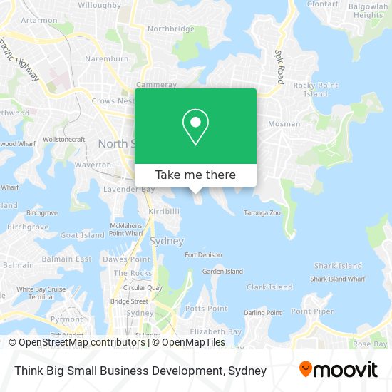 Think Big Small Business Development map