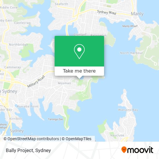 Bally Project map
