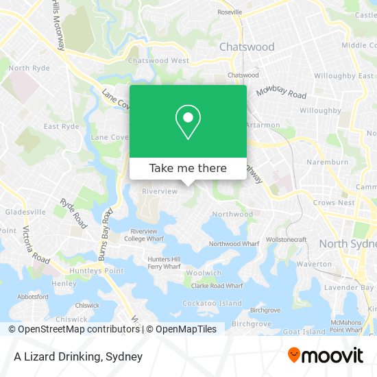 A Lizard Drinking map