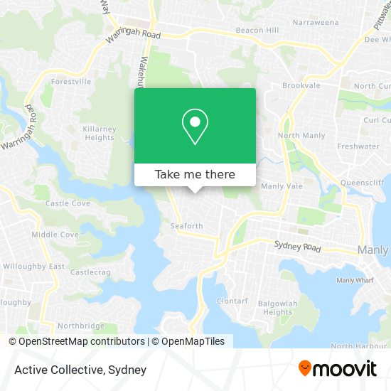 Active Collective map