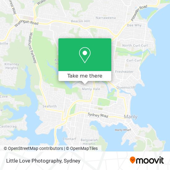 Little Love Photography map
