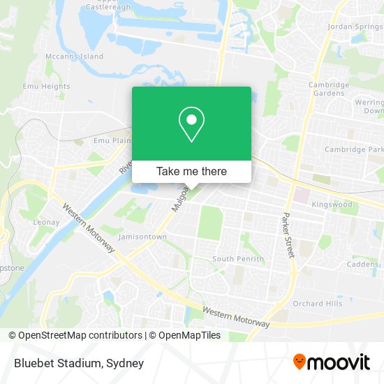 Bluebet Stadium map