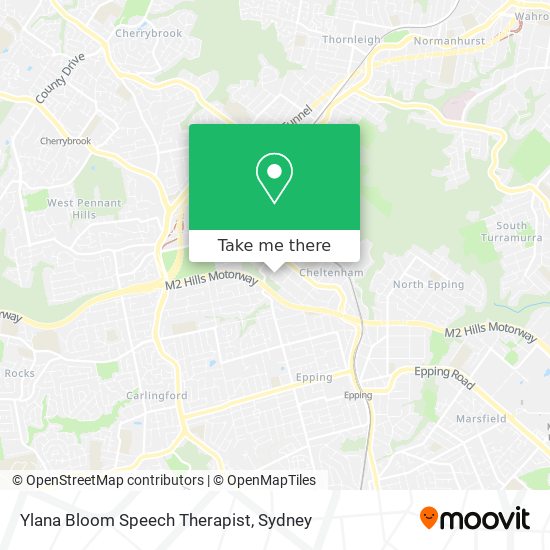 Mapa Ylana Bloom Speech Therapist