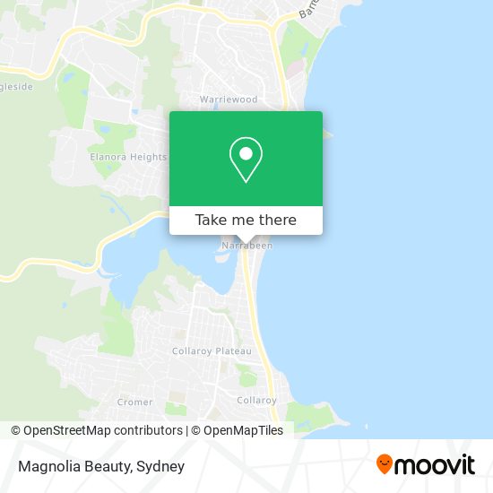 Magnolia Beauty map