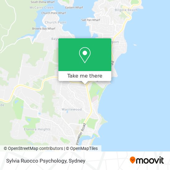 Sylvia Ruocco Psychology map