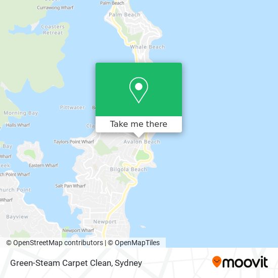 Mapa Green-Steam Carpet Clean