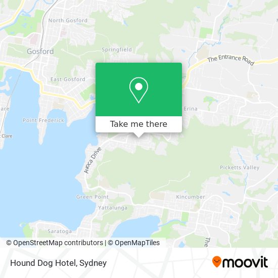 Hound Dog Hotel map