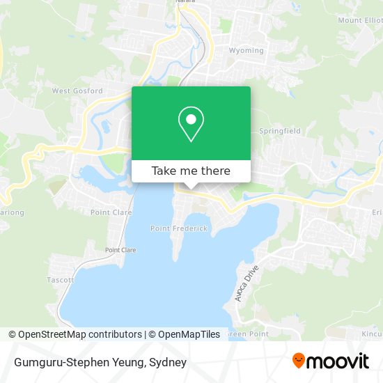 Gumguru-Stephen Yeung map