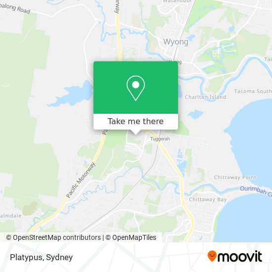 Mapa Platypus