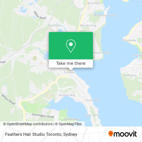 Feathers Hair Studio Toronto map