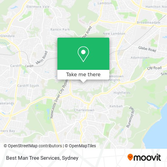 Best Man Tree Services map