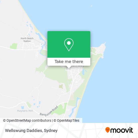 Wellswung Daddies map