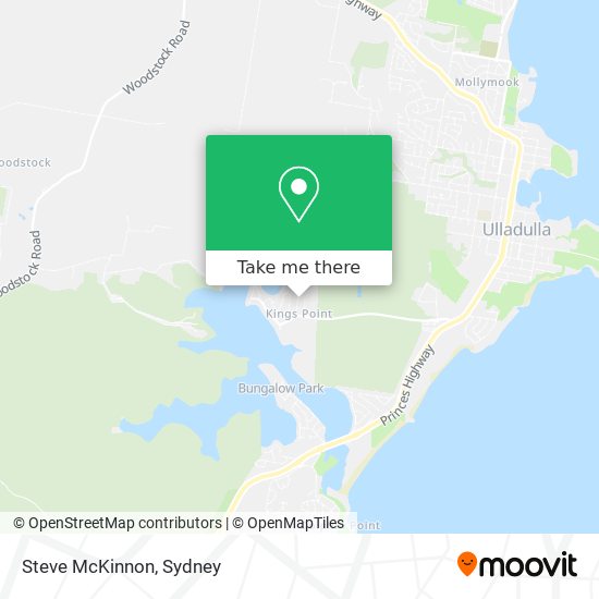 Steve McKinnon map