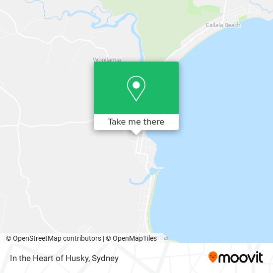 Mapa In the Heart of Husky