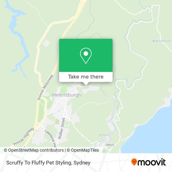 Scruffy To Fluffy Pet Styling map