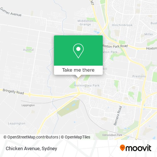 Mapa Chicken Avenue