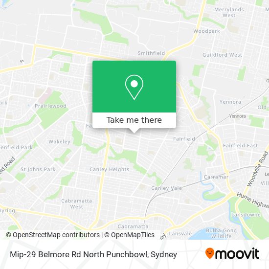 Mip-29 Belmore Rd North Punchbowl map